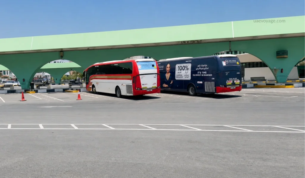Two buses parked under a green arched transit terminal with road markings and clear blue sky in bright daylight.